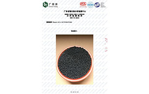 广东省微生物分析检测报告4